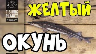 Fishing Planet прохождение | Трофейный Желтый Окунь | Нью-Йорк, озеро Эмеральд