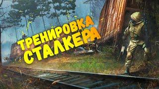 ТРЕНИРОВКА СТАЛКЕРА В STALKER ONLINE! ПРОБЕЖКА ВОКРУГ ПАРКА! STAY OUT