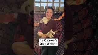 Happy Birthday to the strangest dog I’ve ever met 🫶 #HappyBirthday #Puppy #thenandnow