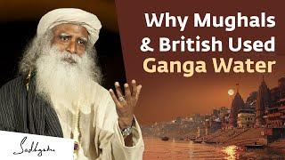 Ganga’s Special Properties, Sanatan Board & Kumbh Mela - TV Channels Interview Sadhguru at Prayagraj