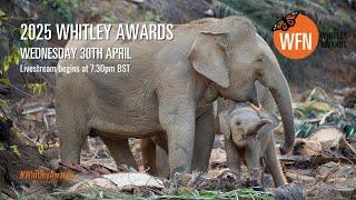 Whitley Awards 2025: LIVE!