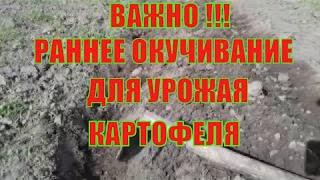 Картоп өнімділігін қалай арттыруға болады? Картопты қанша рет өсіру керек.