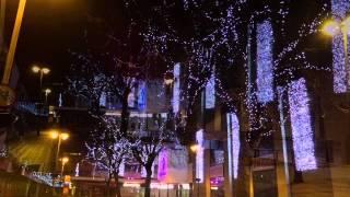 Winter Notes - Dario D'Aversa