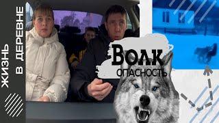 ВОЛК В ПОСЁЛКЕ, ДЕТЕЙ В ШКОЛУ ОТВЕЗЛИ НА МАШИНЕ.  Из города в деревню 786 серия