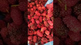 #shortsvideo #redberry #redfruits