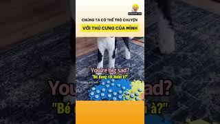 Liệu chúng ta có thể trò chuyện với thú cưng của mình?