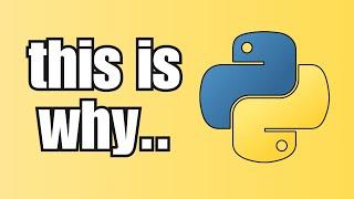 Why I Dont Make Fun Of Python