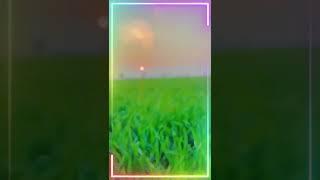 Talab Hussain Dard|#pind |Zeeshan Akbar Awan|#sargodha #shahpura #talibhussaindard