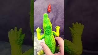 dendist incuraces animals family