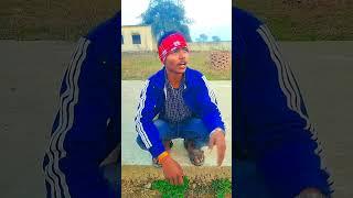 Gangu bai Kya khati hofunny video#comedy #trending #funny #abhishekvlog486