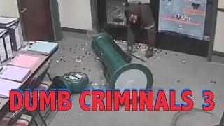 Dumb Criminals 3 || LPE360