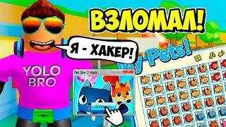 ХАКНУЛ СИМУЛЯТОР ПИТОМЦЕВ 2! БЕСПЛАТНАЯ ПРОГРАММА ДЛЯ ВСЕХ! PET SIMULATOR 2 ROBLOX