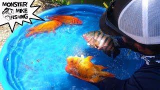DIY Fish Pool Pond! | Monster Mike Fishing