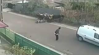 Своя атмосфера Сdjz fnvjcathf Машина тянет лошадь АВАРИЯCar pulling horse ACCIDENT