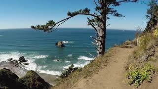 Virtual Hike: Oregon Coast with Beautiful Views! Forest/Beach-Ecola State Park - 4K (actual sound)