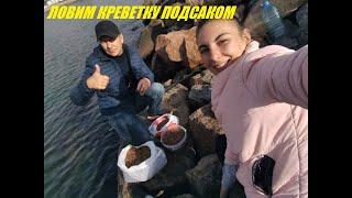 ЛОВИМ КРЕВЕТКУ В ОДЕССЕ ПОДСАКОМ