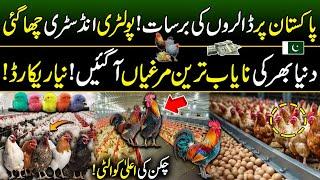 Pakistan's Top Emerging Modern Powerful Industry | Profitable Poultry Business | Kissan Ka Pakistan