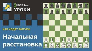 Правила шахмат: Начальная расстановка