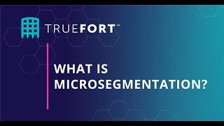 What is Microsegmentation?