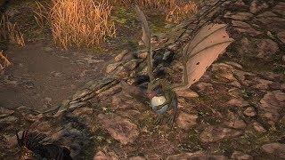 Path of Exile: Dragon Whelp Pet