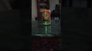 SPOOKY Cactus Cooler moves on table by itself, no magic. just science
