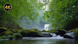 White Noise For Sleep - River Sounds in the Rocky Mountains Audio for Sleeping, Relaxing, Meditation