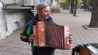 Гармонь Кубань тест-драйв