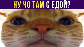 Алё, ну чо там с едой? Приколы | Мемозг #437