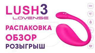 Lush 3 от Lovense - распаковка, обзор и розыгрыш среди подписчиков! Вебкам Студия Шоколад