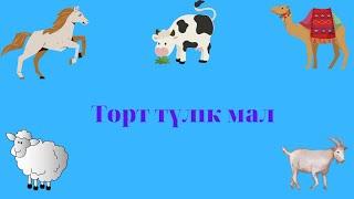 Төрт түлік мал