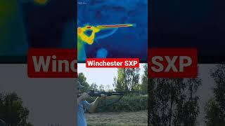 Winchester SXP shotgun through thermal camera #shorts #shortsvideo #shortsfeed