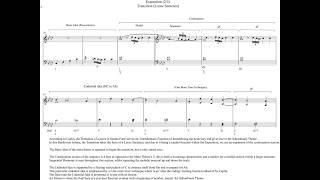 Analysis of Form in Beethoven's Piano Sonata No. 1 in F minor, Op. 2