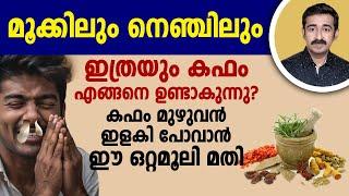 എവിടുന്നാ ഇത്രയും കഫം ? കഫം പെട്ടെന്ന് ഇളകി പോകാൻ ചില നാച്ചുറൽ ഒറ്റമൂലികൾ .. ഉപകാരപ്പെടുന്ന അറിവ്