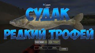 Русская Рыбалка 4: Судак/ Редкий Трофей