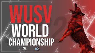 WUSV World Championship IGP 2022 // working-dog // Winner