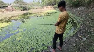 Fishing for Fun or a Test of Skills A Journey to Conquer Every Surface of Water