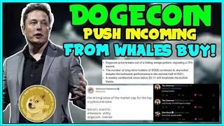 Dogecoin Whales Are Explosive For Price, India Crypto BANS, Btc Support USA!  ELON MUSK, Tesla!