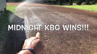 Grass Seed Germination Results! - KBG MIDNIGHT WINS!!!