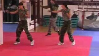 Mario Altaner`s - Vital Combat - Technik Choreo