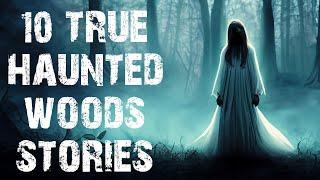 10 True Haunted Woods Scary Stories For Sleep | Disturbing Horror Stories To Fall Asleep To