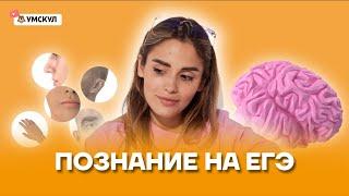 Познание на ЕГЭ | Обществознание ЕГЭ 2022 | Умскул