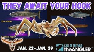Find Your Legendary Fish Here! -the Angler