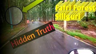 Fafri Forest Siliguri | Evening Ride | Siliguri City | VLOG | Md Aftab |