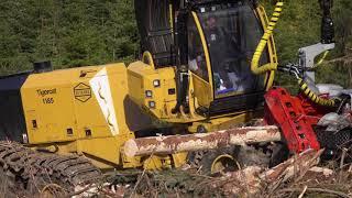 Harvester Tigercat 1185 with Log Max Harvesting Head