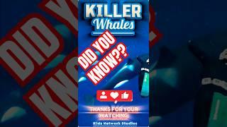 Killer Whales (Orcas) | Fun Facts  | Kids Network Studios  | iSMARTiDEAS  | #shorts #didyouknow