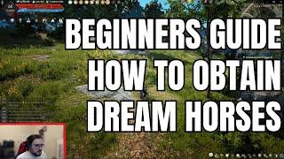 [Black Desert] How to get a dream horse! Dine, Doom or Arduanatt [2024 Guide]