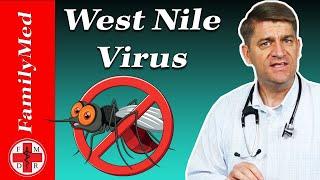 West Nile Virus: What are the Symptoms? Should you be Seen and How to Prevent