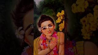 Suno Shyama Pyare | Krishna Status | Krishna Premi | #shorts #youtubeshorts #krishna