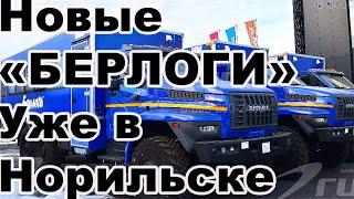 Компания «ГИРД» направила пять новых вахтовых автобусов «Берлога» в Норильск!