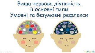 Поняття про вищу нервову діяльність. Умовні та безумовні рефлекси